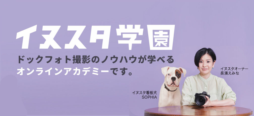 イヌスタ学園　バナー