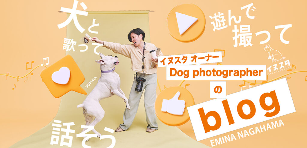 オーナーブログ