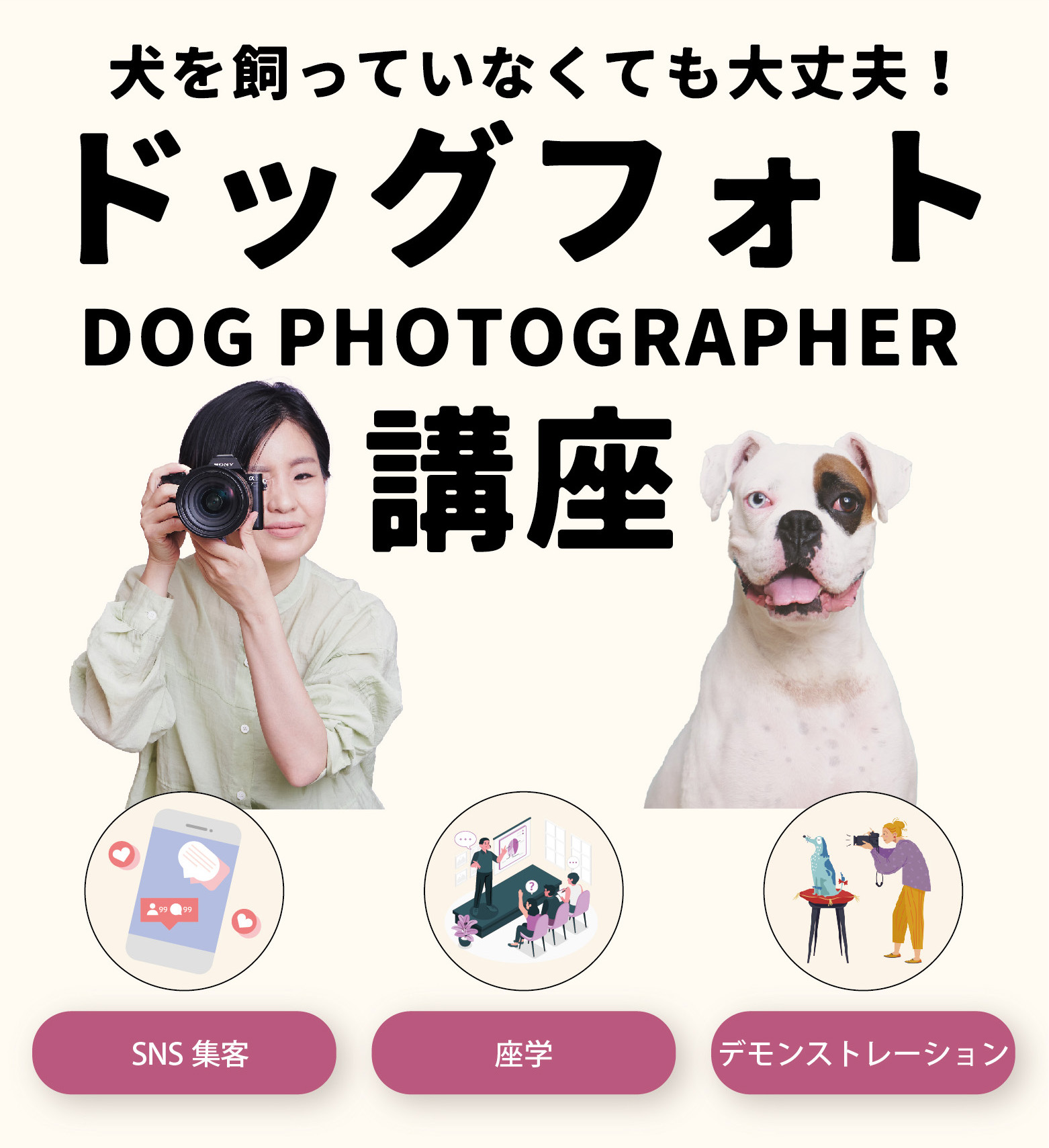 イヌスタ学園 LP画像