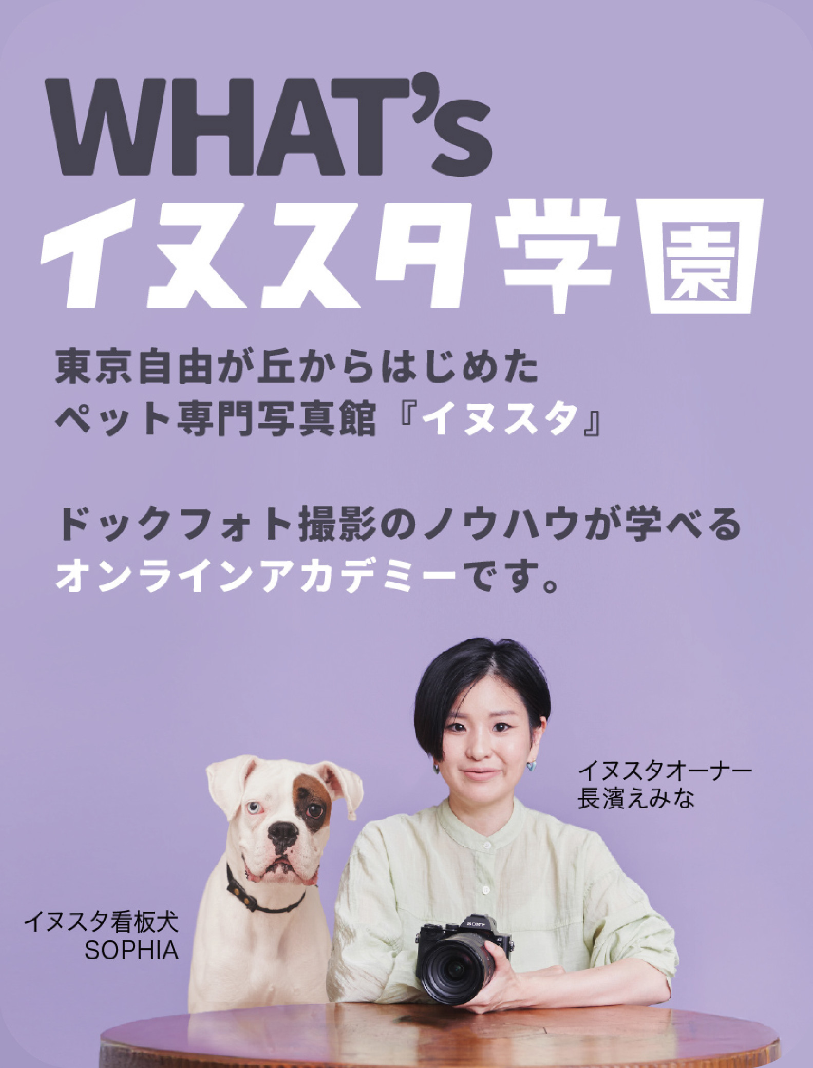 イヌスタ学園