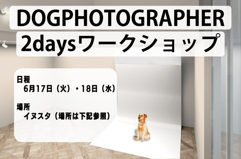 日程と場所