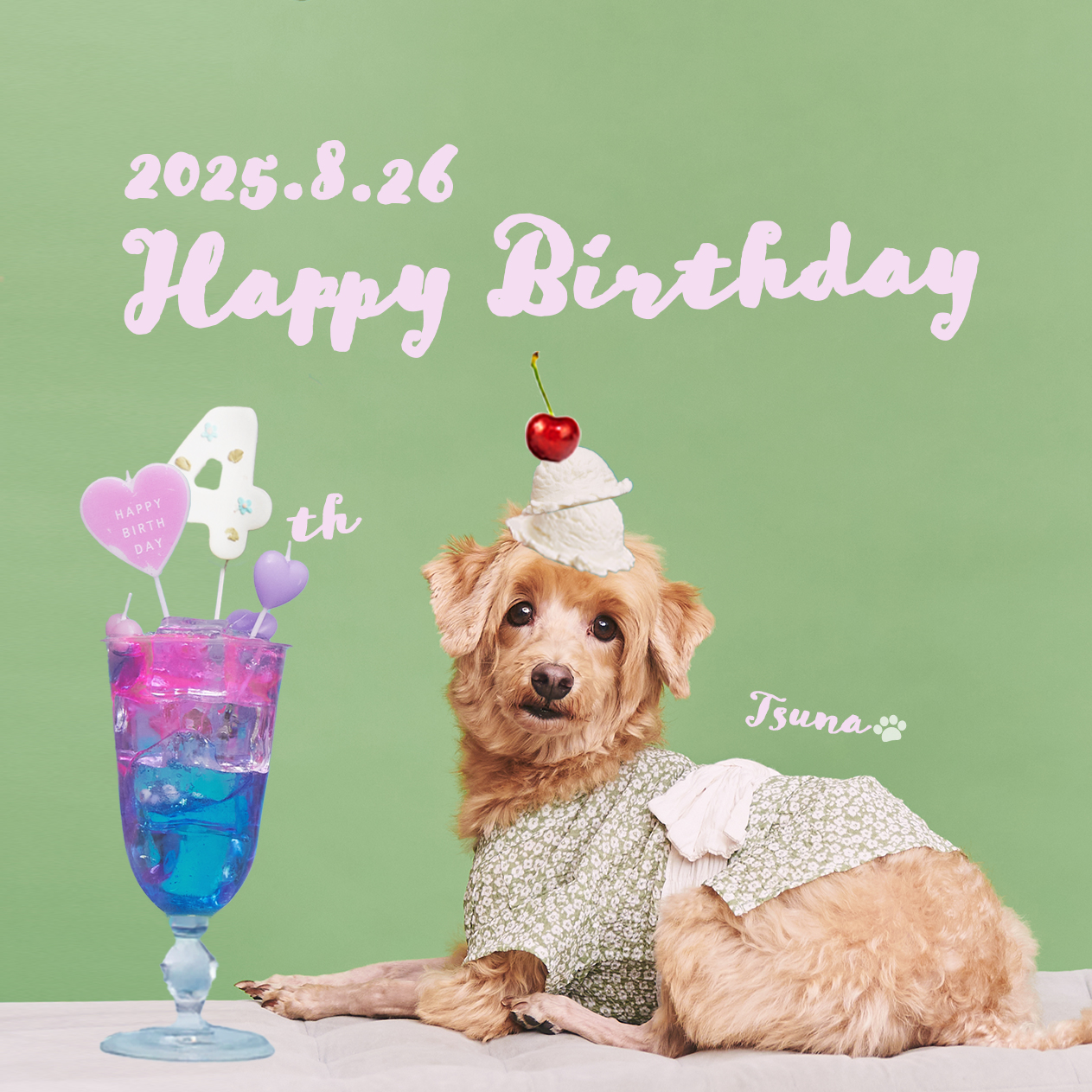 BD_tsuna