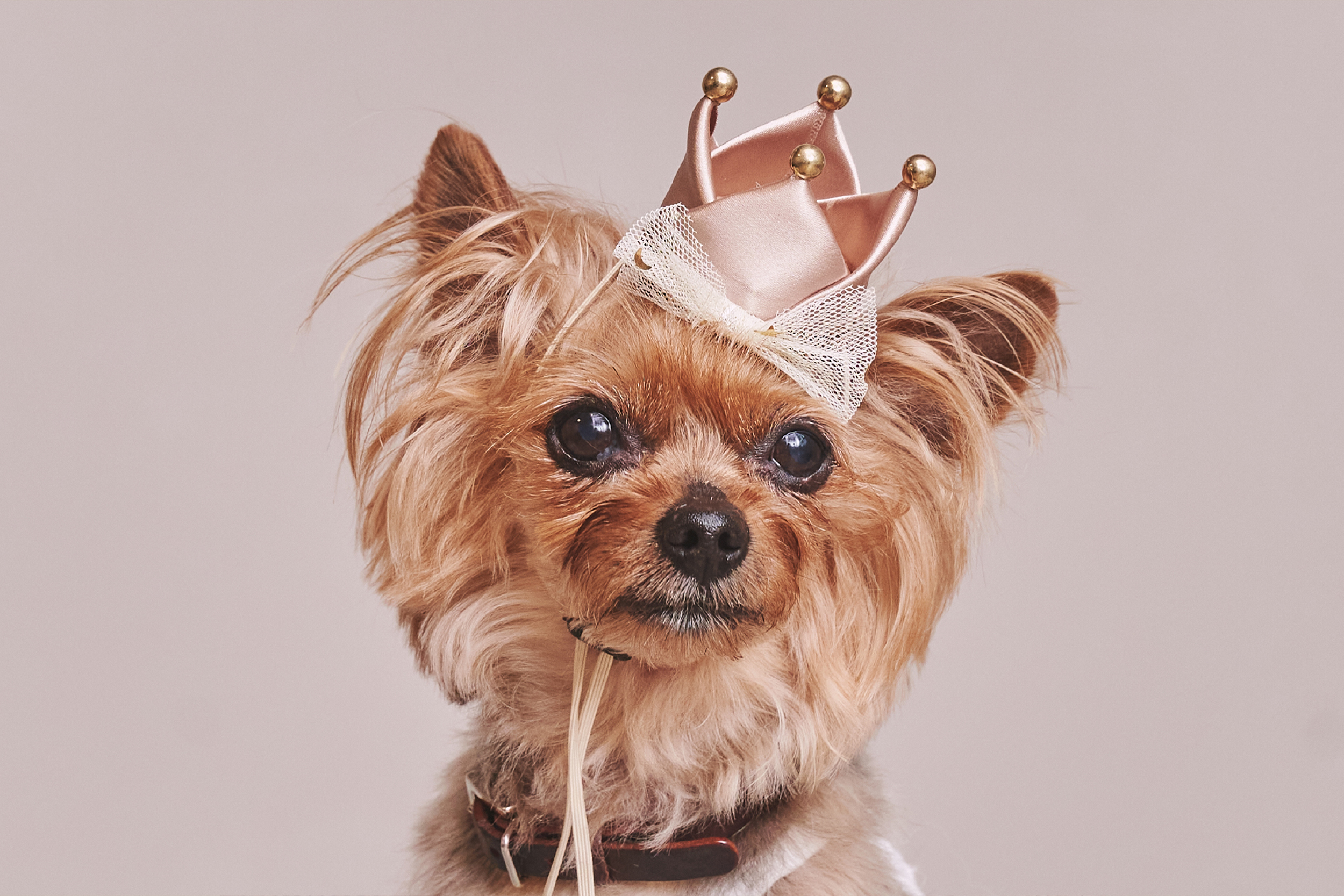 1240804_03_onpu_uta_Runa_Riku_河内様_BD★ 4