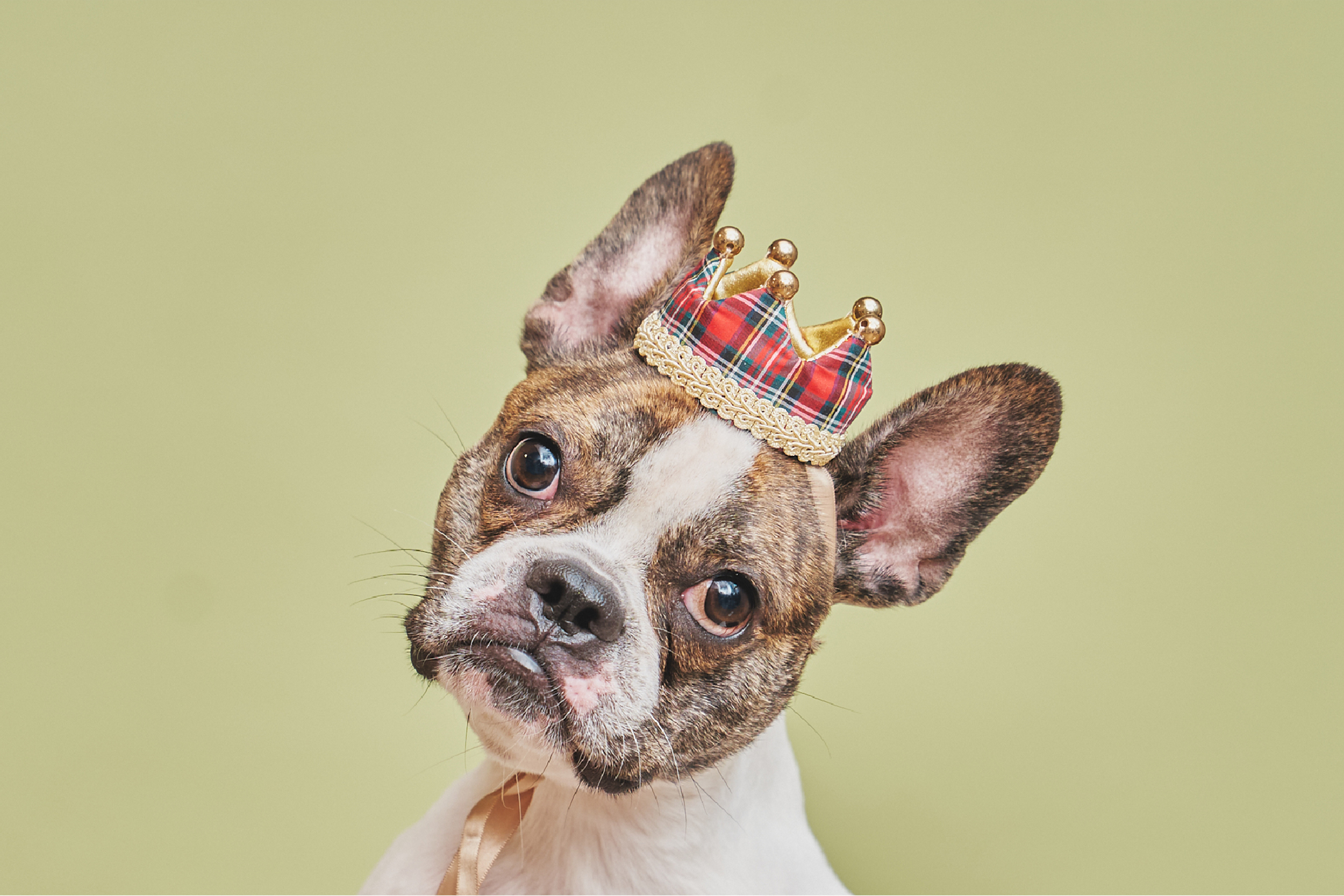 240804_03_onpu_uta_Runa_Riku_河内様_BD★ 4