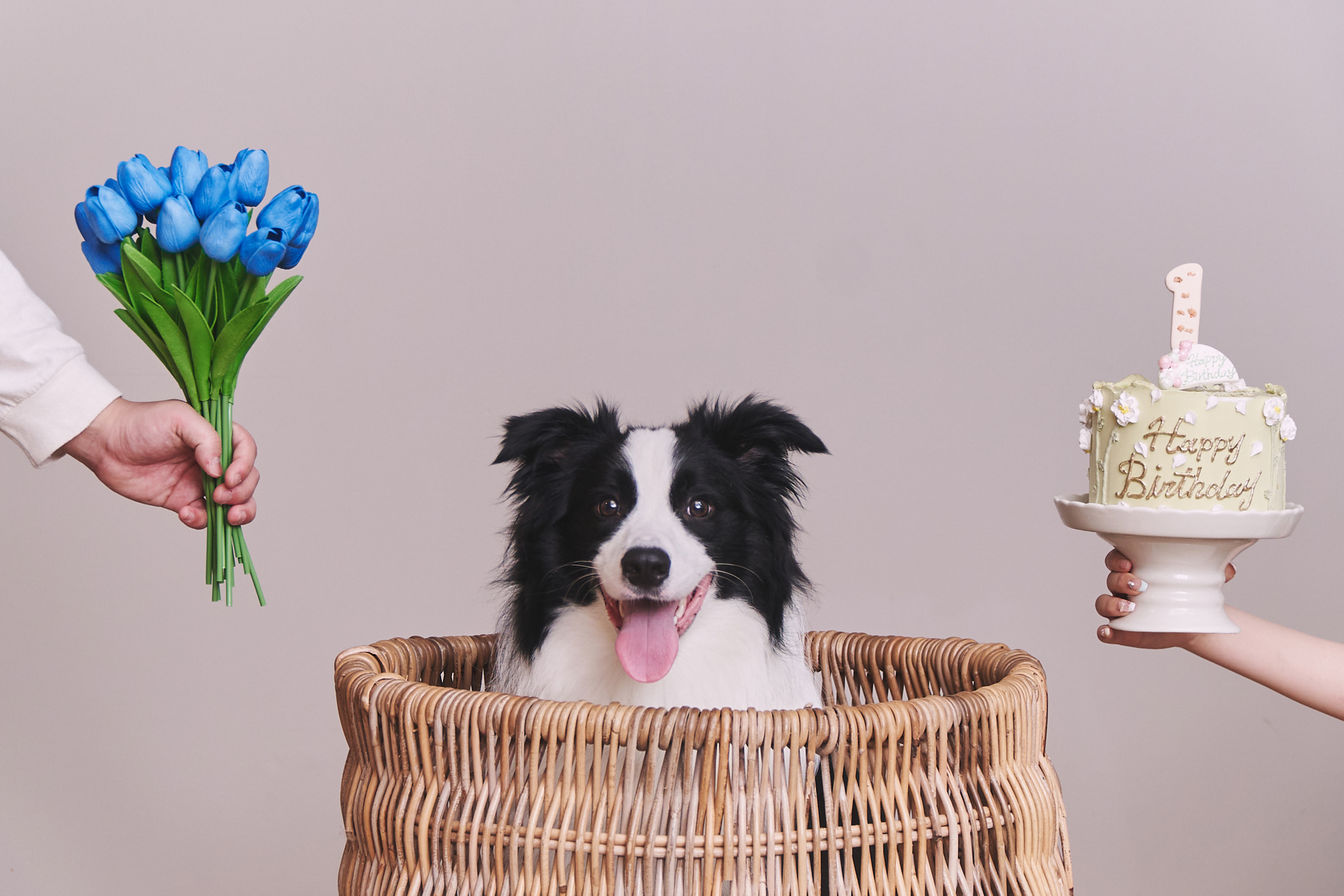 250518_02_KINTA_大草様 4