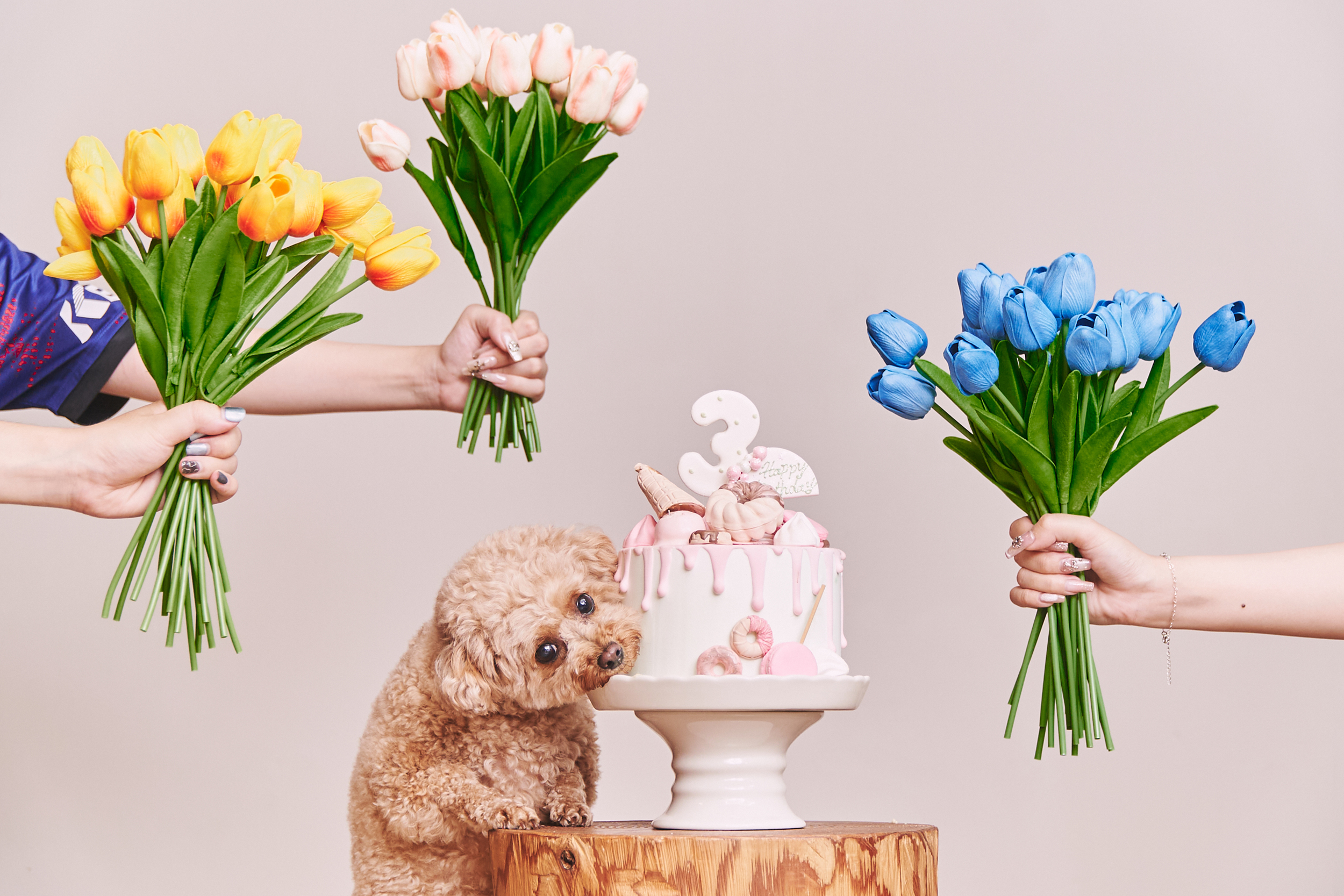 250614_01_meru_薄井様papa 31