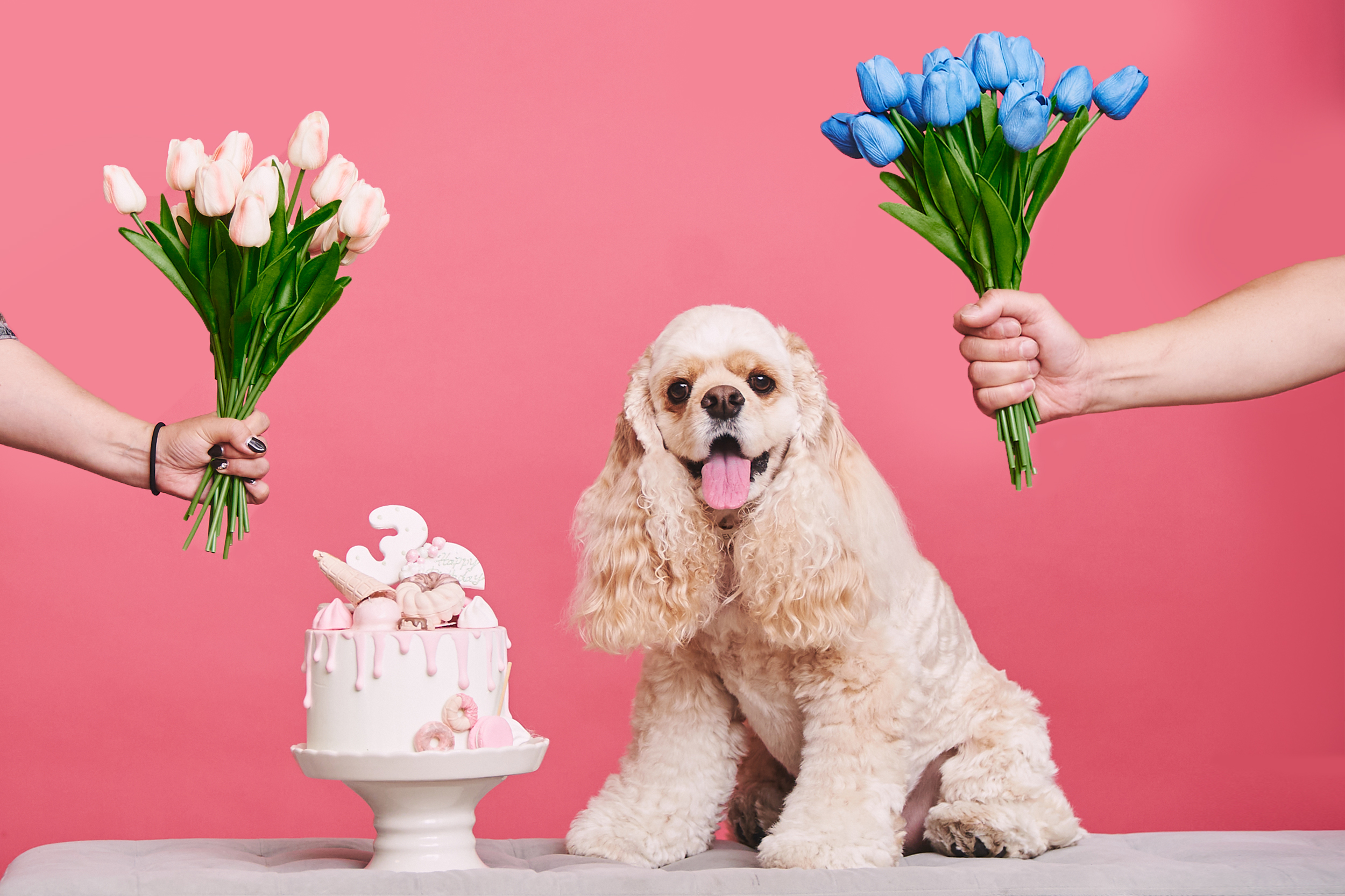 250614_03_ELLE_SHIRO_浅田様papa 106